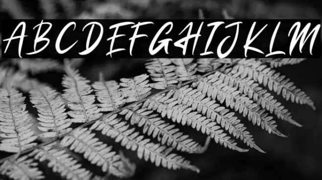 Resitta Font examples