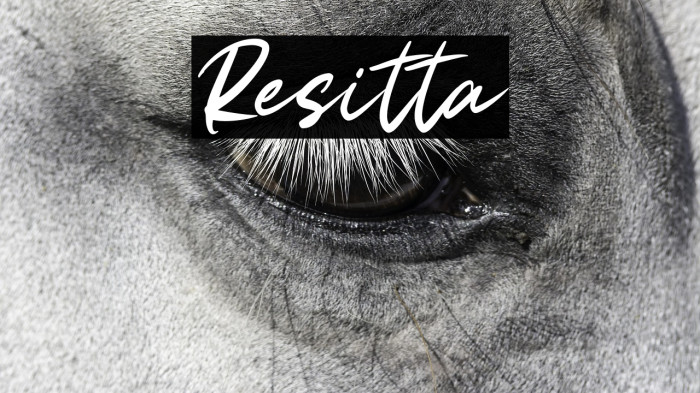 Resitta Example 2