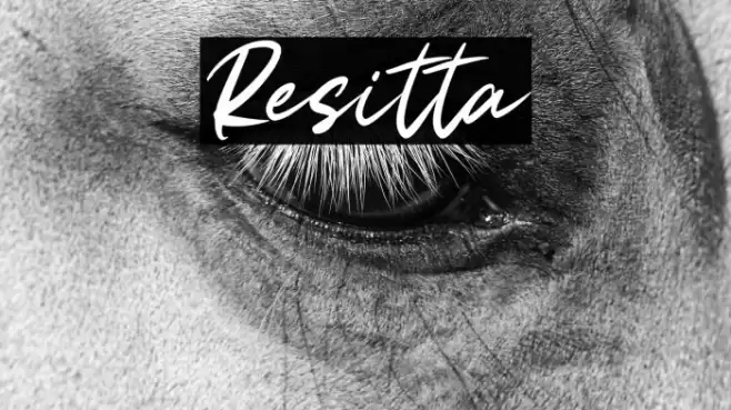 Resitta Font examples