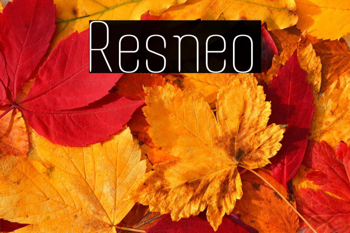 Resneo Example 1