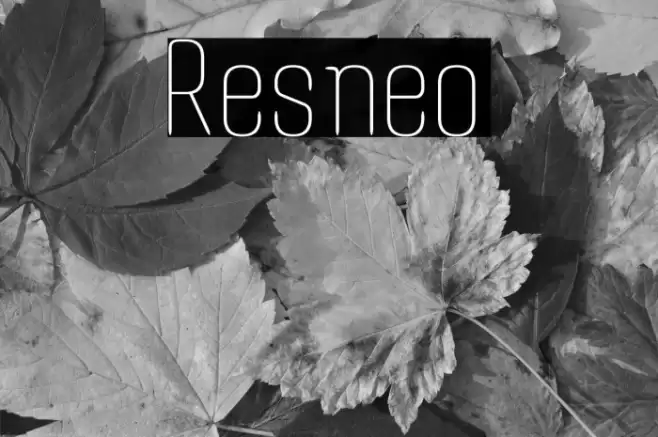 Resneo Font examples