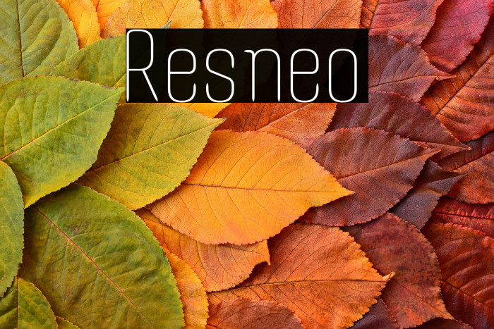 Resneo Example 2