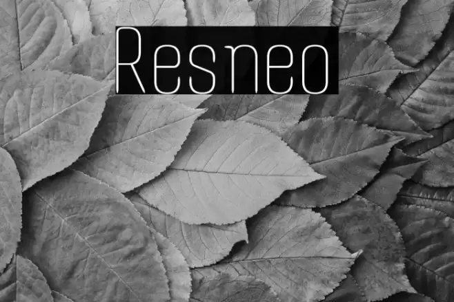 Resneo Font examples