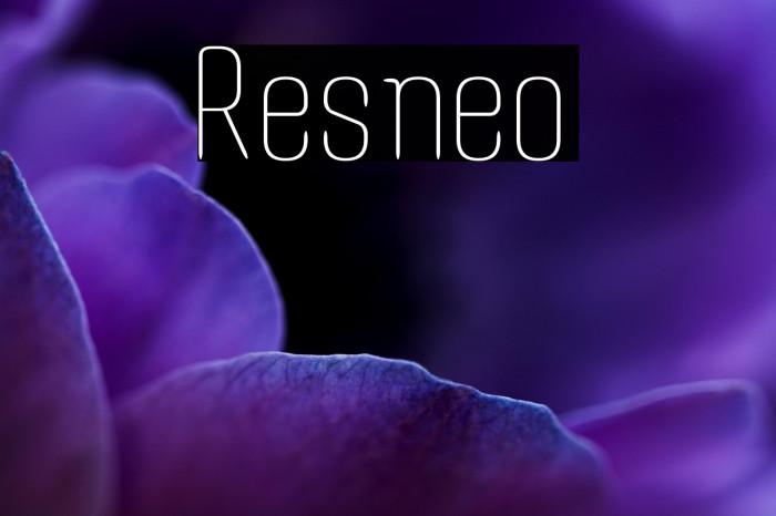Resneo Example 3