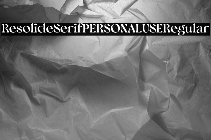 Resolide Serif PERSONAL USE Regular Example 1