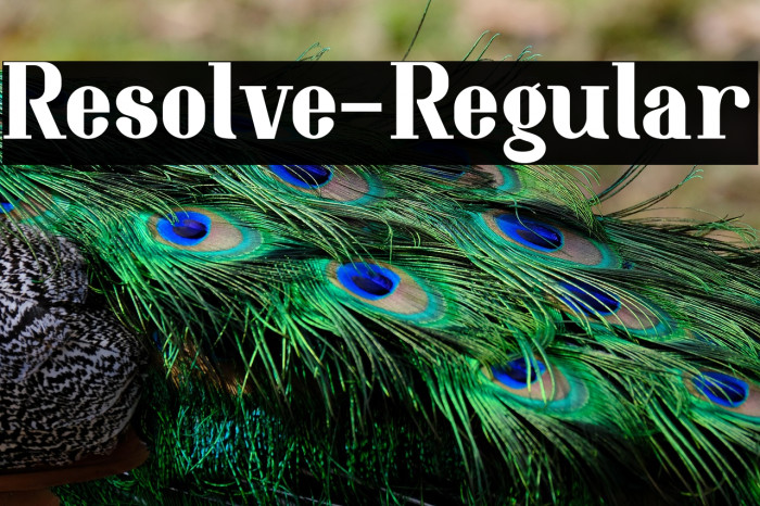 Resolve-Regular Example 1