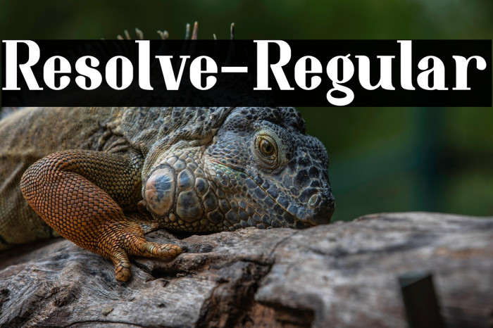 Resolve-Regular Example 2