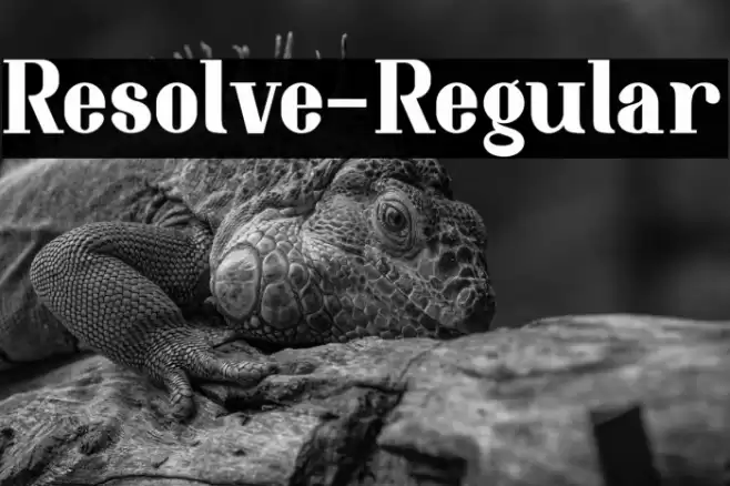 Resolve-Regular Font examples