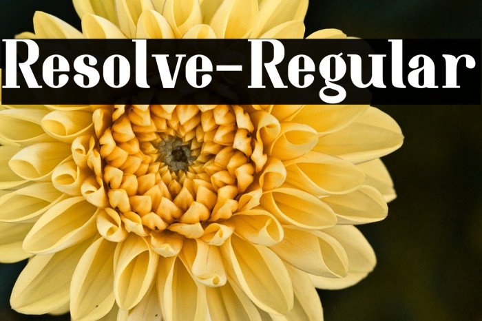 Resolve-Regular Example 3