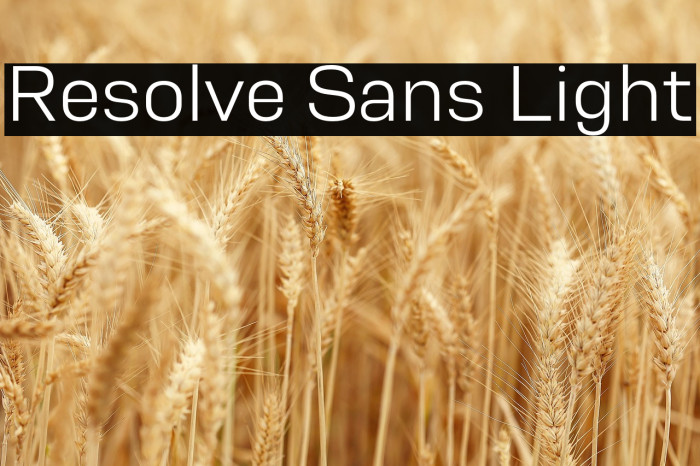 Resolve Sans Light Example 1