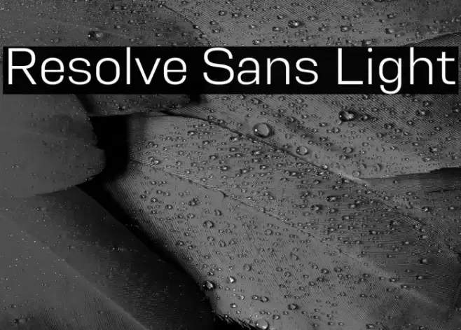 Resolve Sans Light Font examples