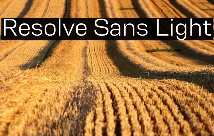 Resolve Sans Light Example 3