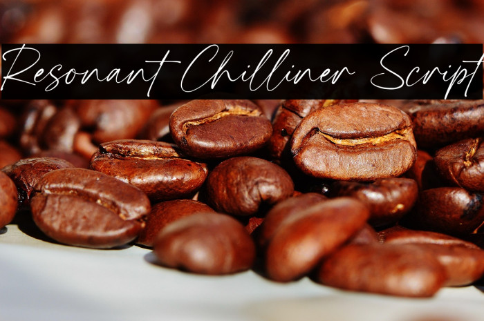 Resonant Chilliner Script Font examples