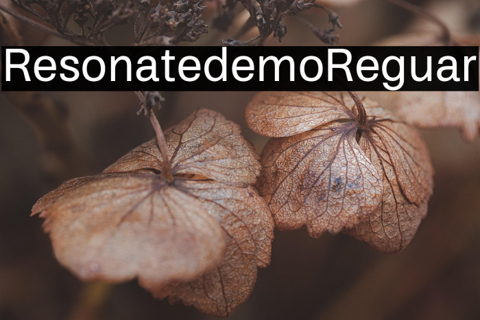 Resonate demo Regular Example 3