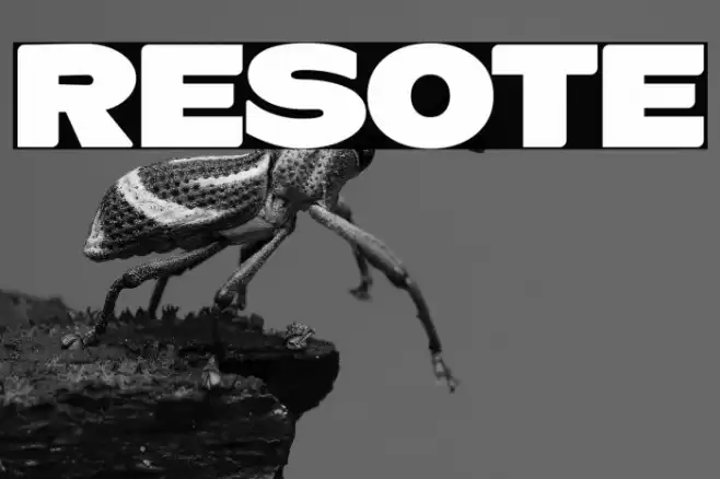 ResotE Font examples