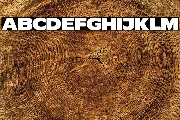 ResotYg PERSONAL USE Example 1