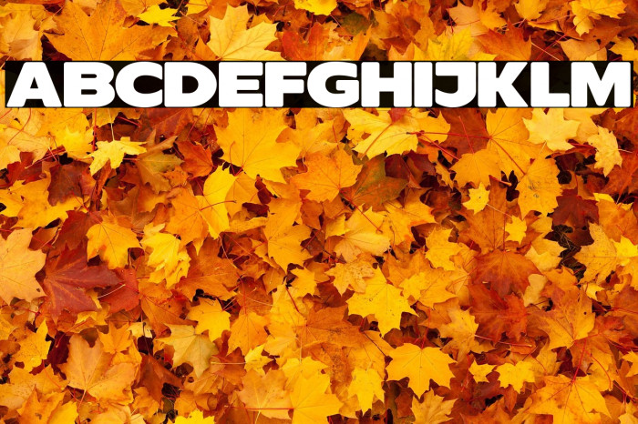 ResotYg PERSONAL USE Example 2