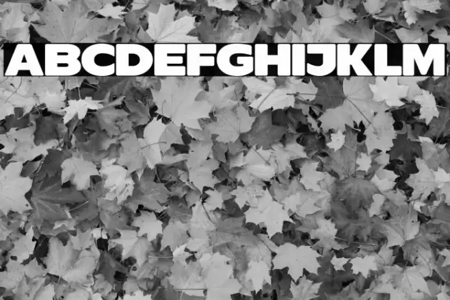 ResotYg PERSONAL USE Font examples