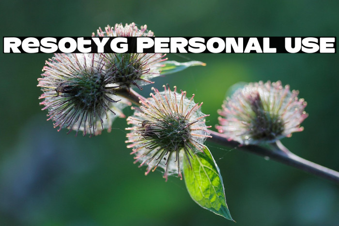 ResotYg PERSONAL USE Example 3