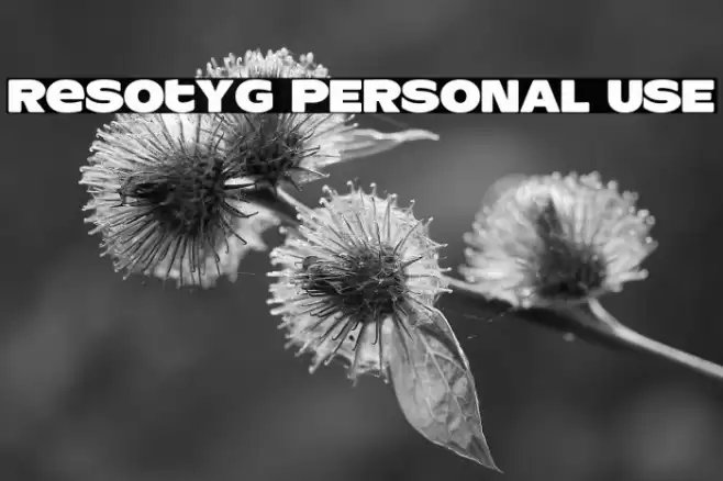 ResotYg PERSONAL USE Font examples