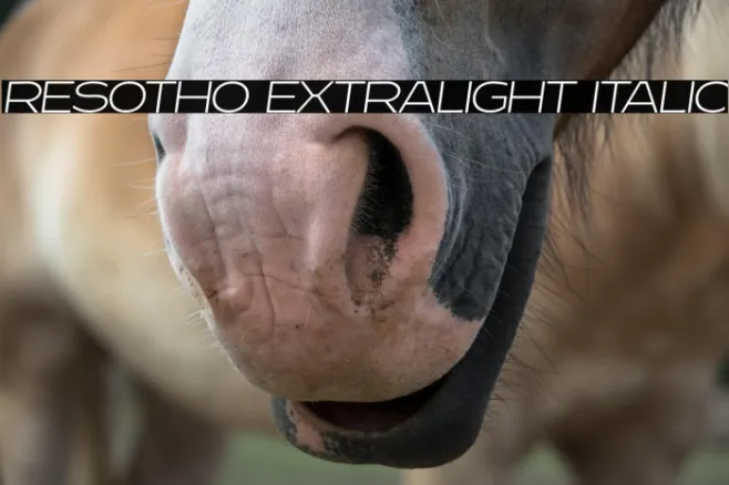 Resotho Extralight Italic Example 2