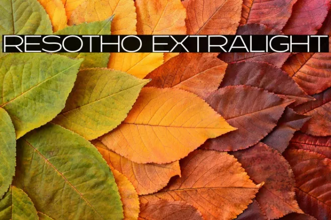 Resotho Extralight Example 1