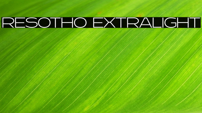 Resotho Extralight Example 3