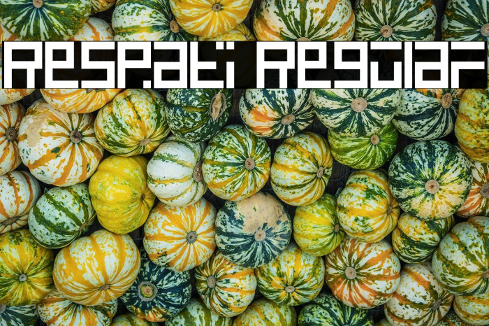 Respati Regular Example 1