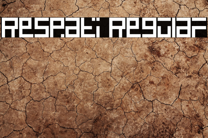 Respati Regular Example 2