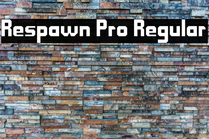 Respawn Pro Regular Example 1
