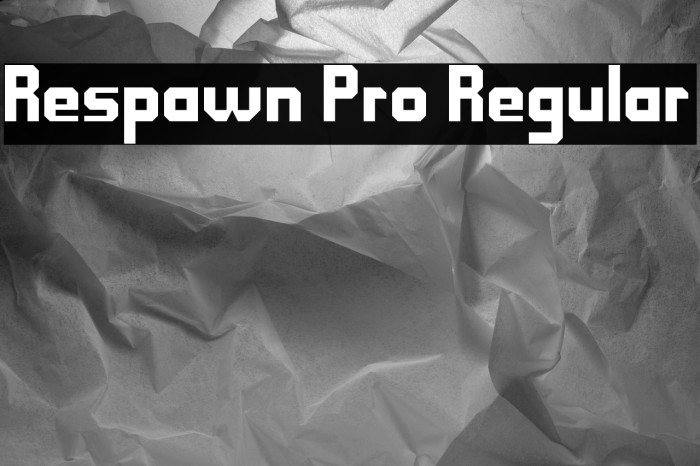 Respawn Pro Regular Example 2