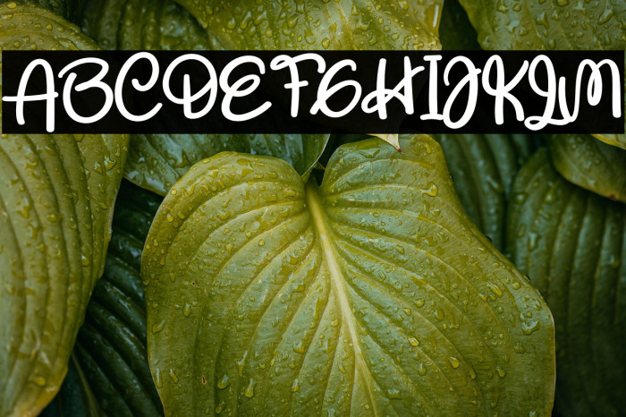 Respect The Teacher Example 1