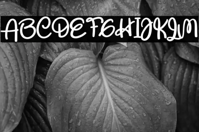 Respect The Teacher Caratteri examples