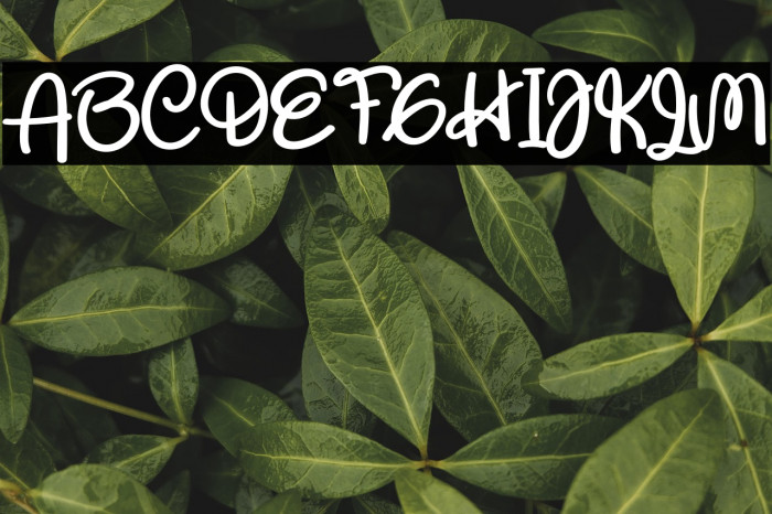 Respect The Teacher Example 3