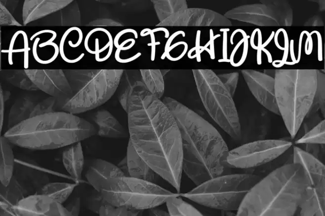 Respect The Teacher Caratteri examples