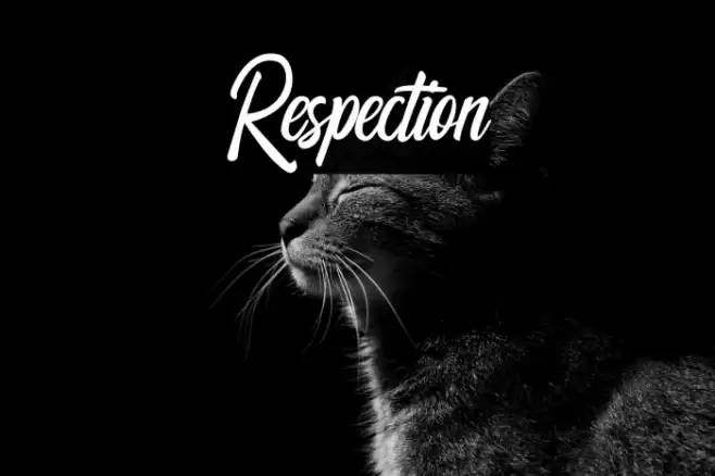 Respection Font examples