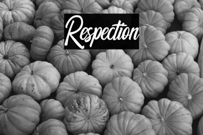 Respection Font examples