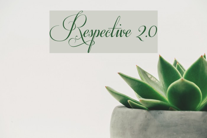 Respective 2.0 Font examples