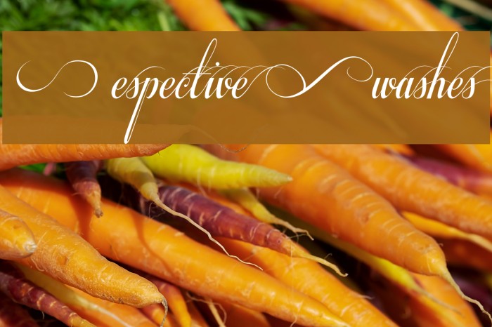Respective Swashes Font examples