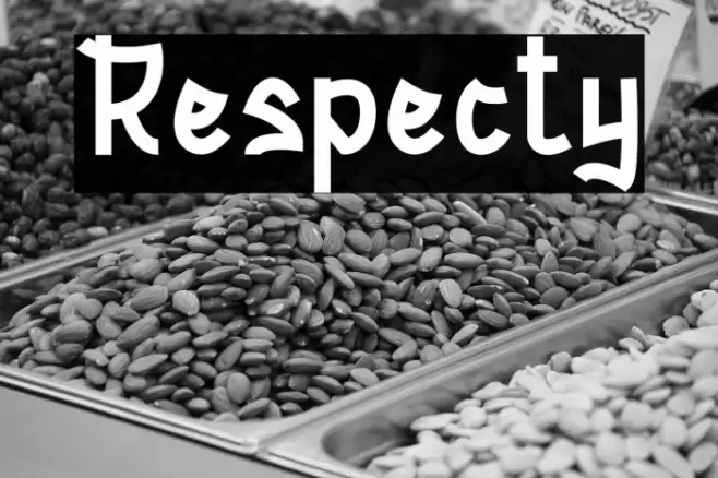 Respecty Font examples