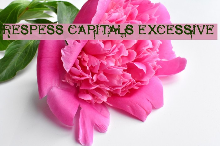 Respess Capitals Excessive Font examples