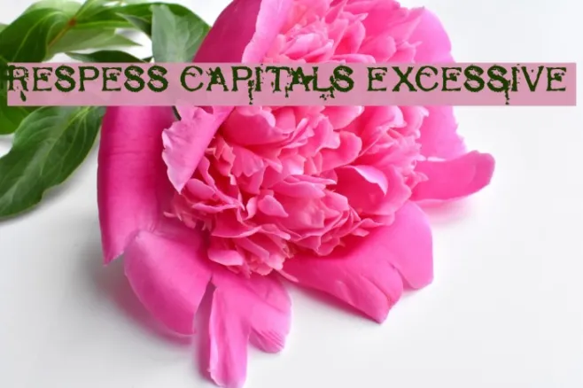 Respess Capitals Excessive Example 1