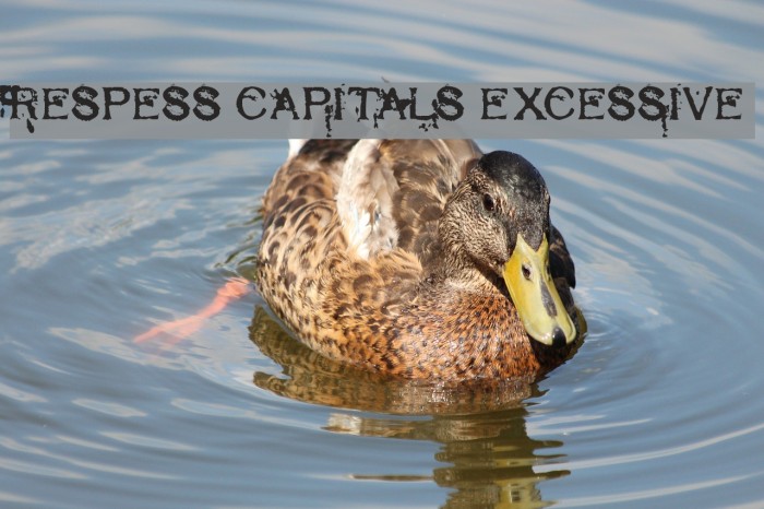 Respess Capitals Excessive Font examples