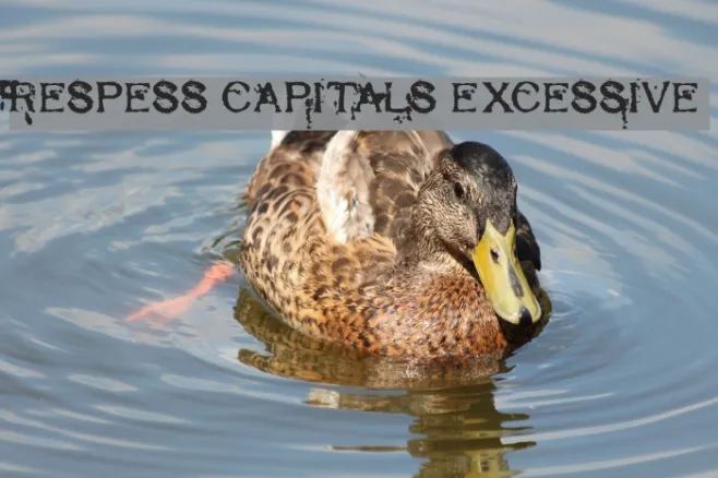 Respess Capitals Excessive Example 3
