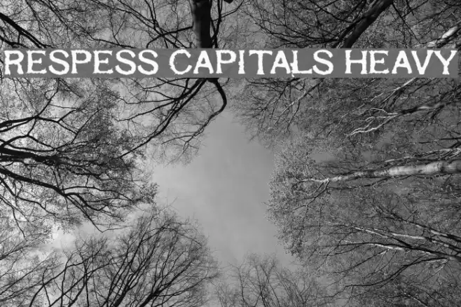 Respess Capitals Heavy Schriftart examples