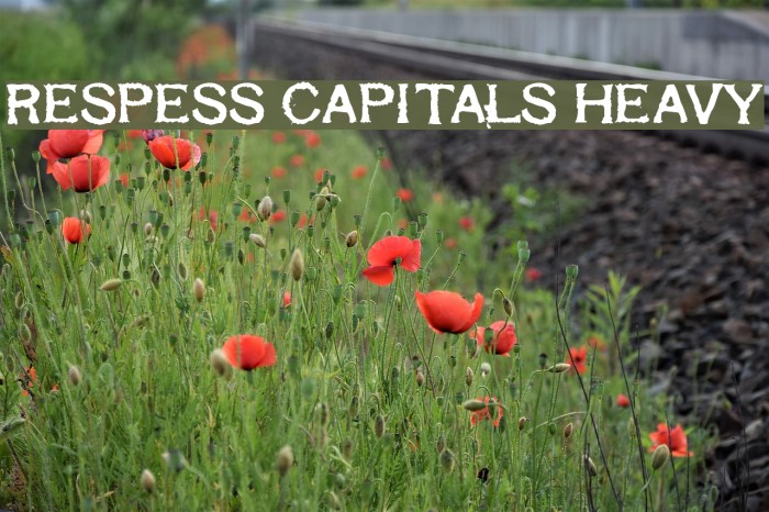 Respess Capitals Heavy Font examples