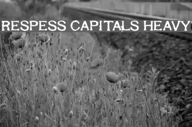 Respess Capitals Heavy Schriftart examples