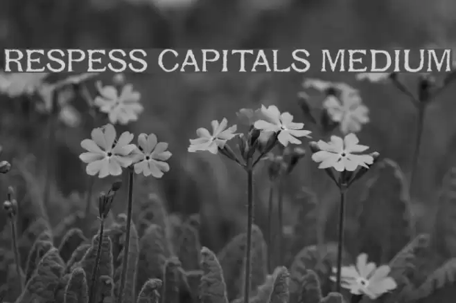 Respess Capitals Medium Schriftart examples