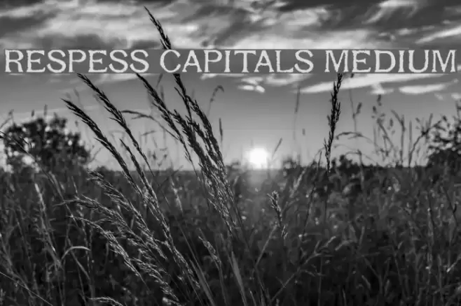 Respess Capitals Medium Schriftart examples