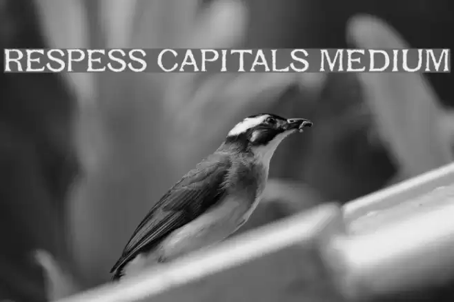 Respess Capitals Medium Schriftart examples
